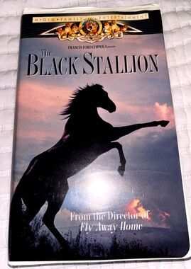 The Black Stallion VHS Mickey Rooney, Teri Garr - TESTED